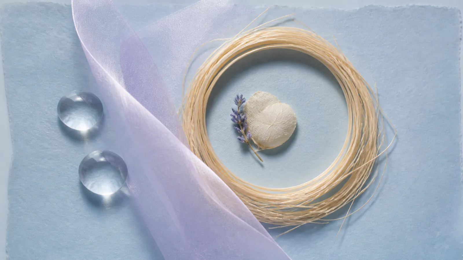 Three product-specific injectable records separated into pregnancy and breastfeeding evidence columns